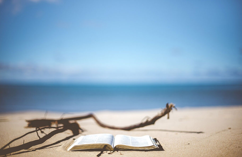 Lecturas de verano