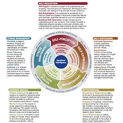 Modelo de inteligencia emocional EQ-i 2.0
